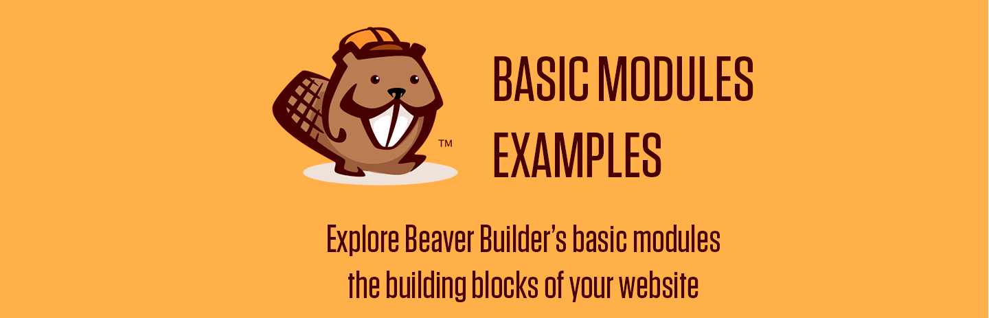 Photo of the Beaver Builder logo with the words "Basic Modules Examples" to the right of the logo and the words "Explore Beaver Builder's Basic modules the building blocks of your website" underneath.