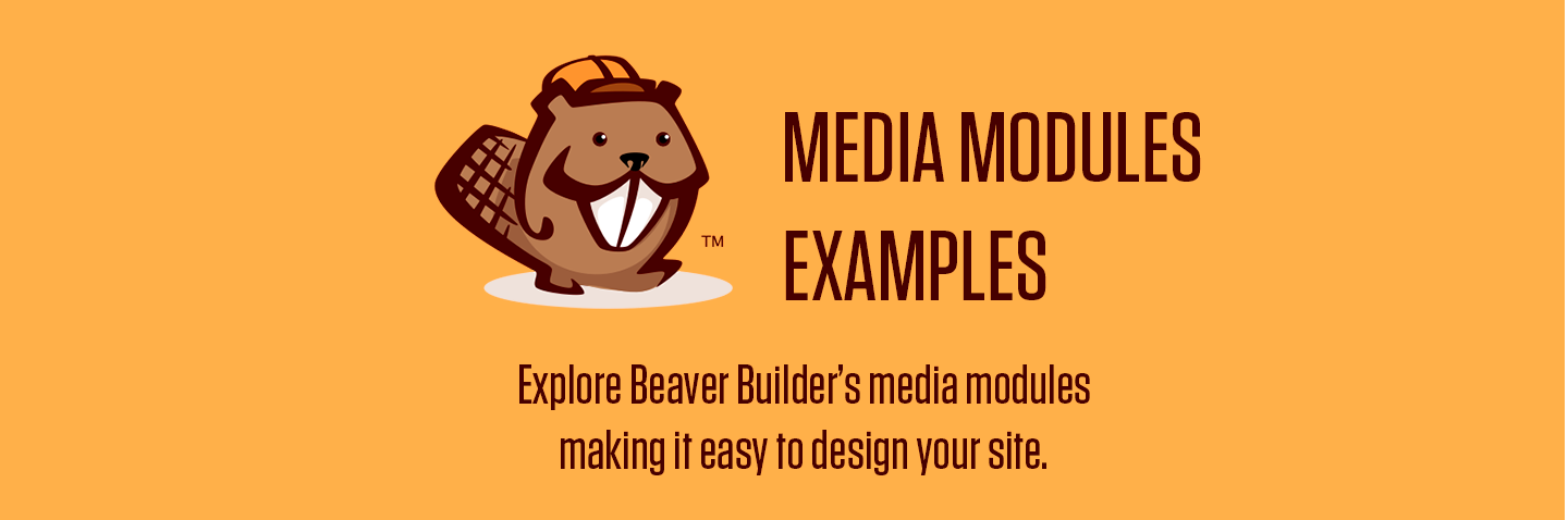 Photo of the Beaver Builder logo with the words "Media Modules Examples" to the