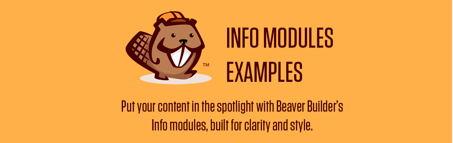 Photo of the Beaver Builder logo with the words "Info Modules Examples" to the